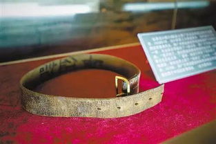 半截皮带 半截皮带